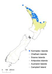 Asplenium flaccidum subsp haurakiense distribution map based on databased records at AK, CHR, OTA & WELT.
 Image: K. Boardman © Landcare Research 2017 CC BY 3.0 NZ